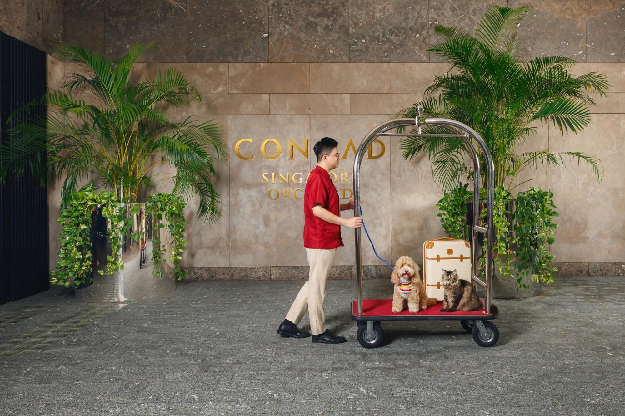 Hotel Conrad Orchard 5*